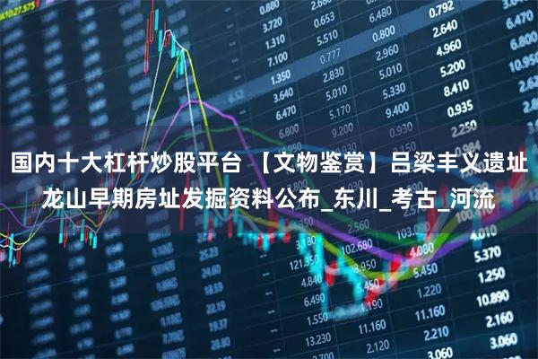 国内十大杠杆炒股平台 【文物鉴赏】吕梁丰义遗址龙山早期房址发掘资料公布_东川_考古_河流